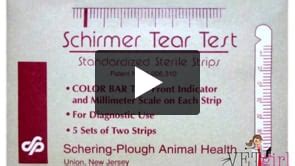 schirmer tear test vetgirl